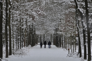 wandelpad tilburg