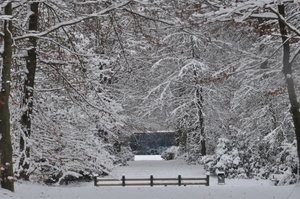 vergezxicht tilburg wandelbos tilburg