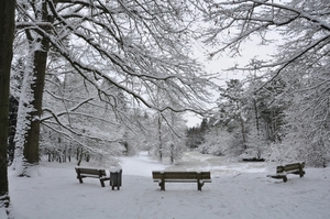 bankje in de sneeuw