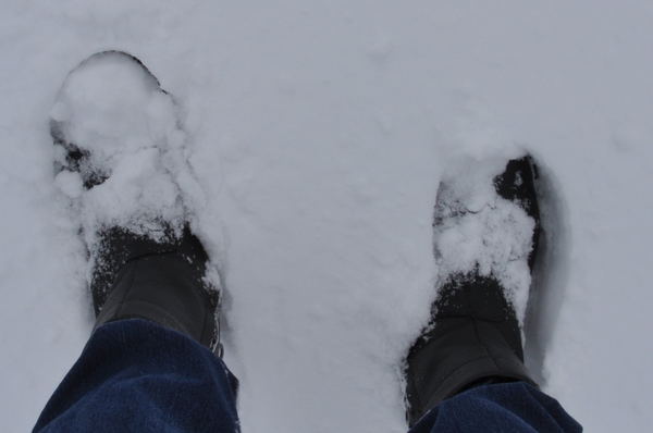 sneeuw twee voetjes hoog