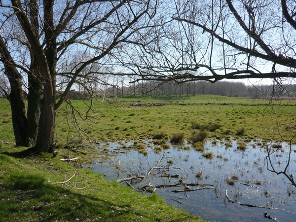 110319.PHILIPPINE 012