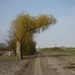 110326.YZENDIJKE.OOK OUD