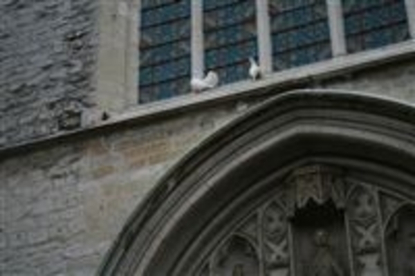 2007_08_25 Trouw Maaike & Bart 207