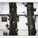 2010_12_17_0161 (2)