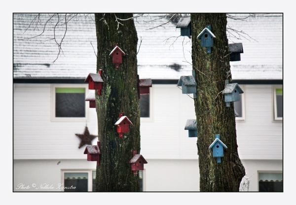 2010_12_17_0161 (2)