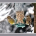 2010_12_18_0186 (2)