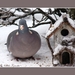 2010_12_18_0250 (2)