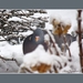 2010_12_18_0251 (2)