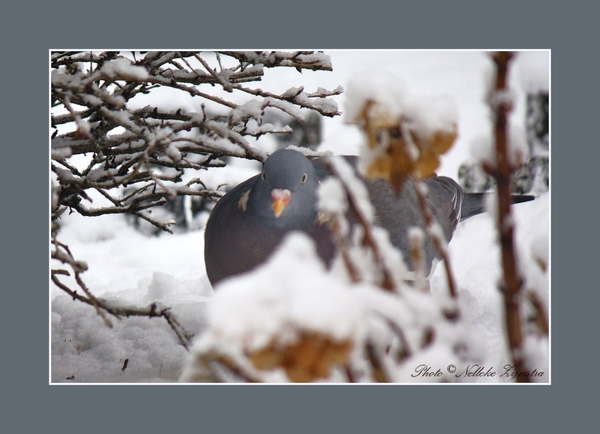 2010_12_18_0251 (2)