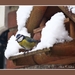 2010_12_19_0272 (2)