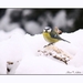 2010_12_19_0287 (2)