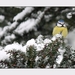 2010_12_19_0316 (2)
