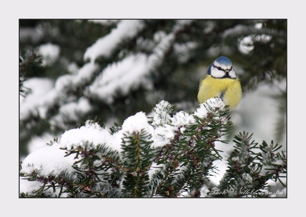 2010_12_19_0316 (2)