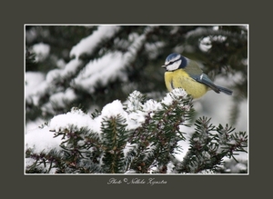 2010_12_19_0317 (2)