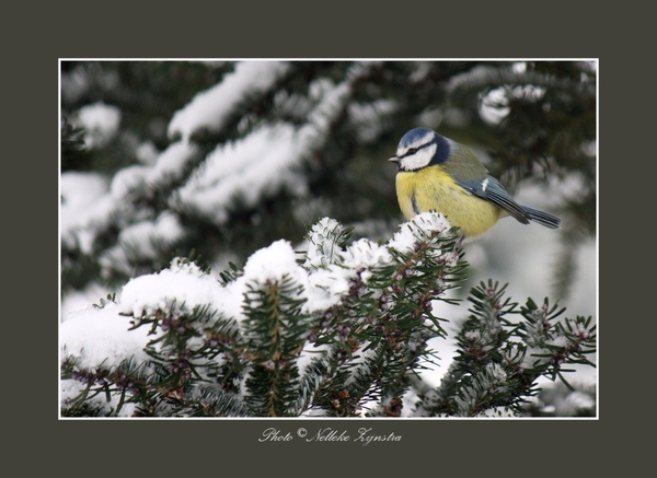 2010_12_19_0317 (2)