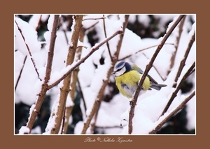 2010_12_19_0321 (2)