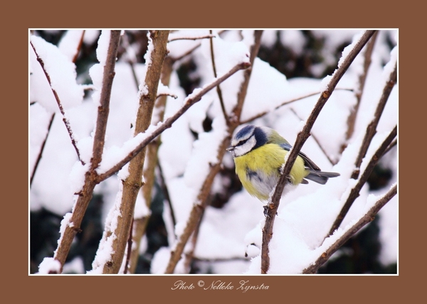 2010_12_19_0321 (2)