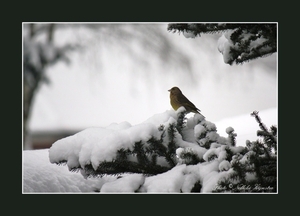 2010_12_19_0330 (2)