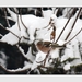 2010_12_19_0332 (2)