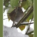 2010_12_19_0341 (2)