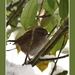2010_12_19_0343 (2)