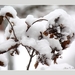 2010_12_19_0362 (2)