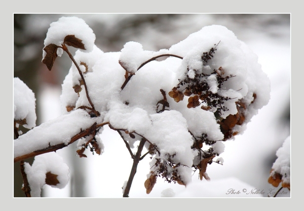 2010_12_19_0362 (2)