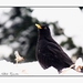 2010_12_19_0385 (2)