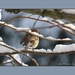 2010_12_20_0464 (2)