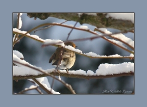 2010_12_20_0464 (2)