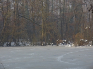 2010-12-30 KKT Hazewinkel 007