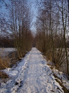 2010-12-30 KKT Hazewinkel 027