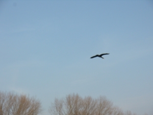 2010-12-30 KKT Hazewinkel 035