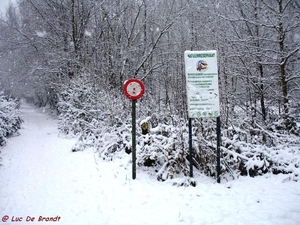 2010_12_19 Denderleeuw 01 Wellemeersen