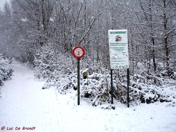 Denderleeuw wandeling sneeuw