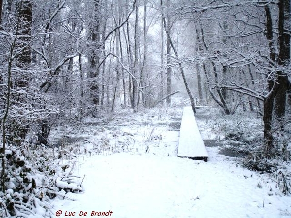 Denderleeuw wandeling sneeuw