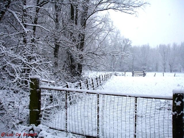 Denderleeuw wandeling sneeuw