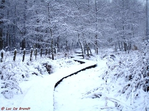 2010_12_19 Denderleeuw 07 Wellemeersen