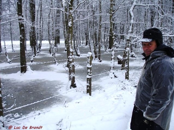 Denderleeuw wandeling sneeuw