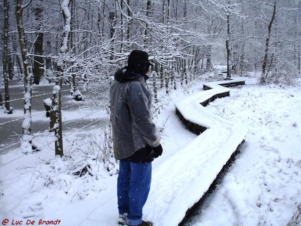 Denderleeuw wandeling sneeuw