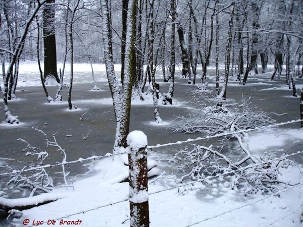 Denderleeuw wandeling sneeuw