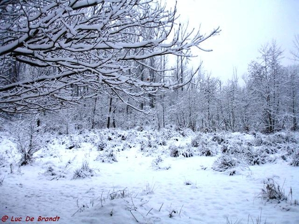 Denderleeuw wandeling sneeuw