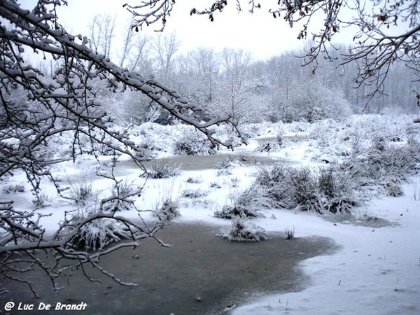 Denderleeuw wandeling sneeuw