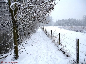 2010_12_19 Denderleeuw 14 Wellemeersen