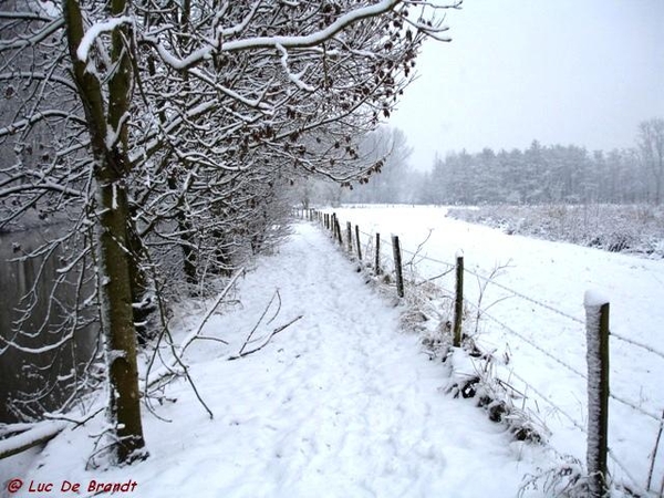 Denderleeuw wandeling sneeuw