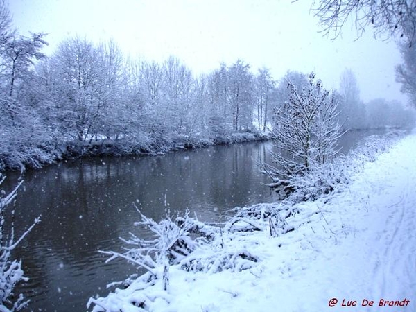 Denderleeuw wandeling sneeuw