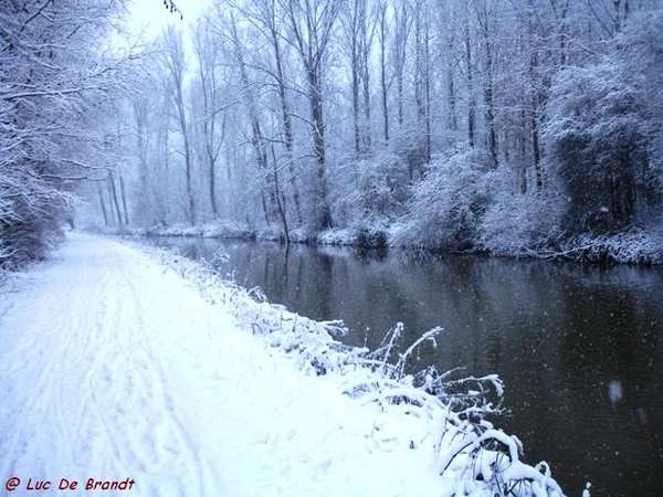 Denderleeuw wandeling sneeuw