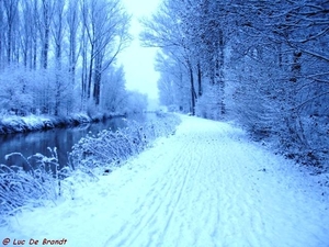 2010_12_19 Denderleeuw 29 Dender