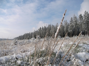 101_0525  ardennen