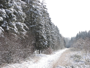 101_0528   ardennen